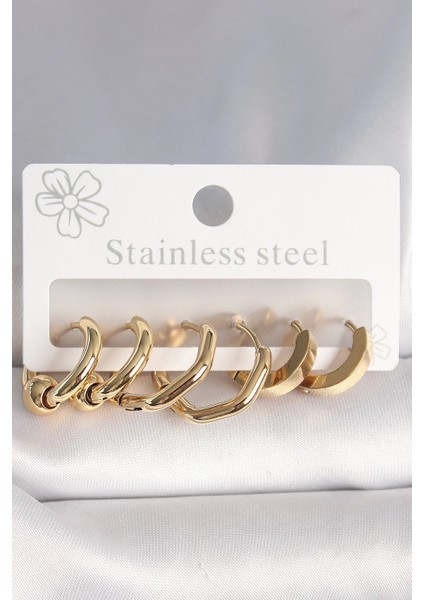 Bfs 316L Çelik Gold Renk Altıgen Halka Model Kadın Küpe Seti