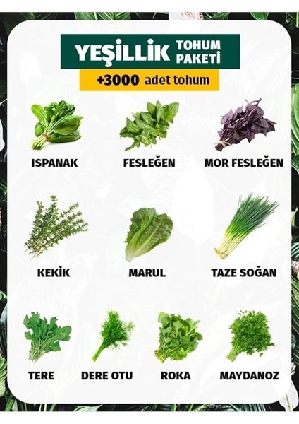 Dünyam 10 Çeşit Yeşillik Tohum Paketi 3000 Tohum