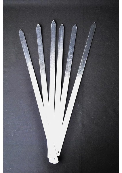 Diyarı 6 Adet Profosyonel Paslanmaz Metal Kıyma Şiş (Adana-Urfa-Antep Kebap Şişi)