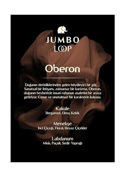 Jumbo Loop Oberon Çubuklu Oda Kokusu, Mat Kahve Şişe fiyatları