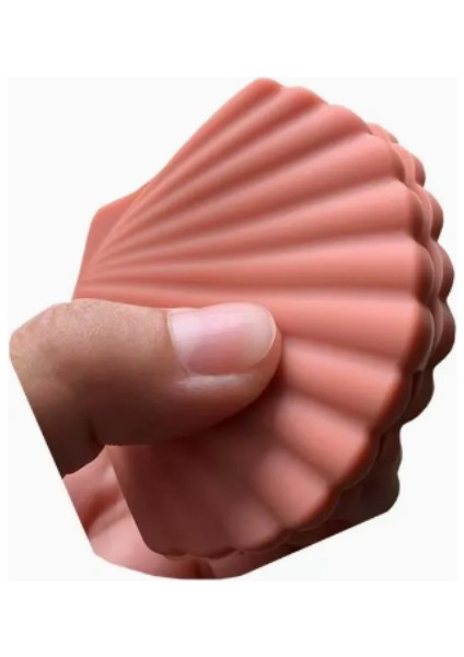 Tutacak Şekli Deniz Kabuğu fiyatları