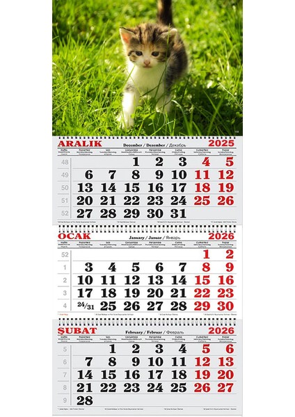 2026 Yılı Gemici Takvimi-Yavru Kedi