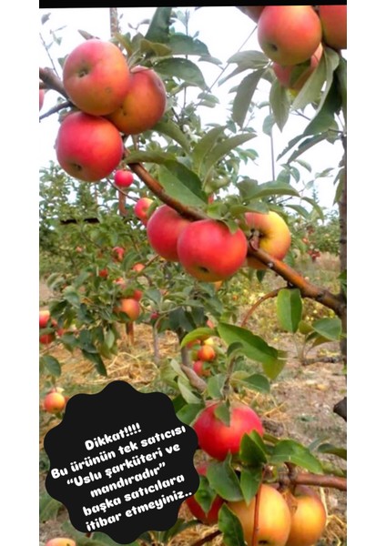 Amasya Misket Elması Yeni Mahsül 1kg.