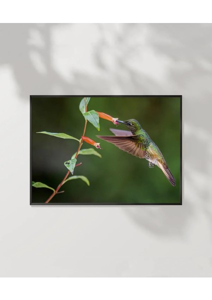 Nektar Ziyafeti Poster indirimleri