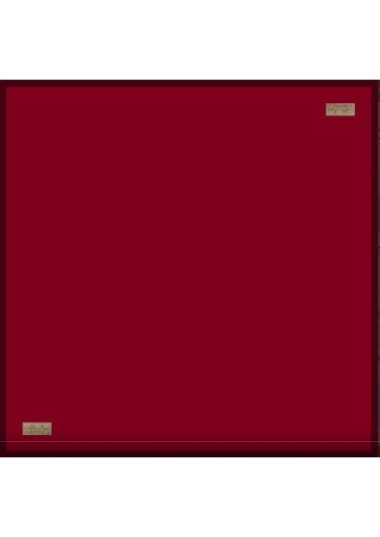 Güz Serinliği Düz Eşarp 37