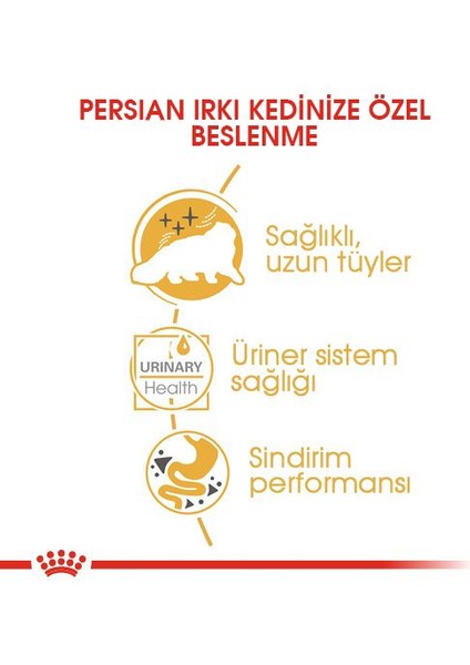 İran Kedisi için Yaş Kedi Maması 12 x 85g