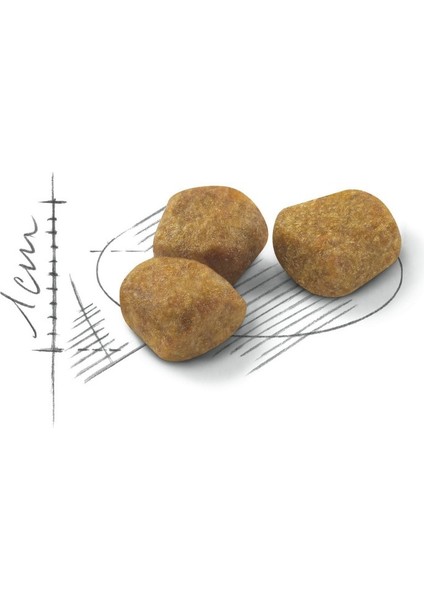 Indoor 7 Ev Kedileri Için Yaşlı Kedi Maması 1,5kg