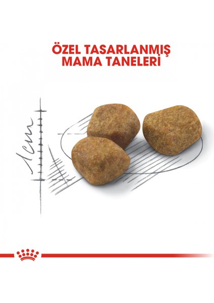 Indoor 7 Ev Kedileri Için Yaşlı Kedi Maması 1,5kg