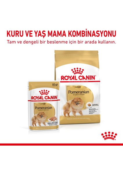 Pomeranian Yaş Köpek Maması 12 x 85g