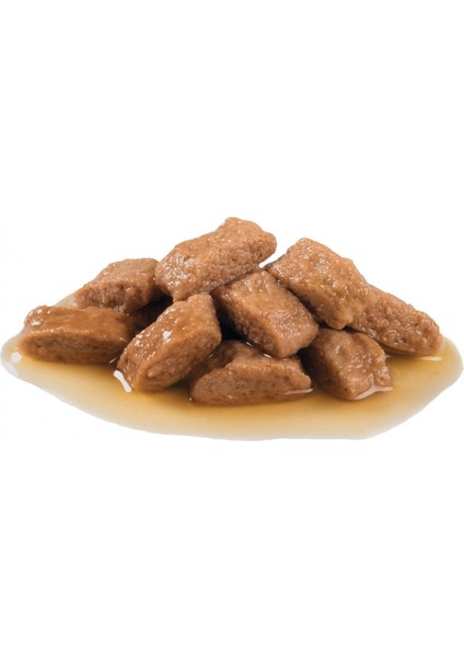 Orta Irklar için Yaş Köpek Maması 10 x 140g