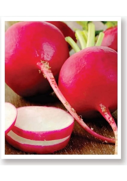 Tarım Ata Tohumu Yöresel Kırmızı Antep Turp 500 Adet Tohum