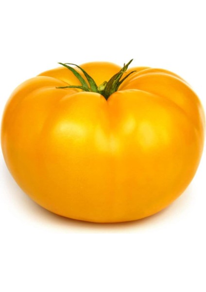 Look Nadir Dev Italyan Sarı Pileli Domates Tohumu 5 Tohum TH-THMCMTHM02