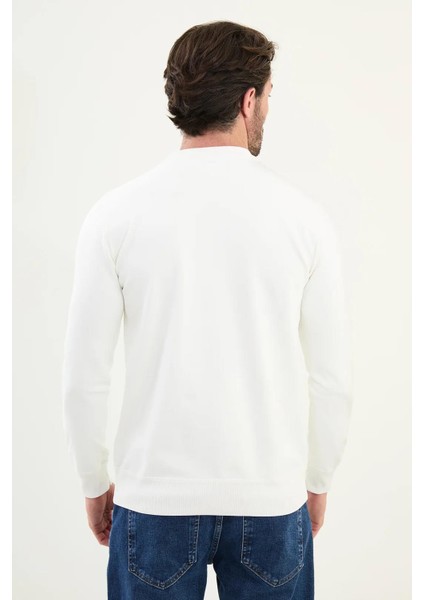 Desenli Slim Fit Bisiklet Yaka Erkek Triko Kazak 11566 modelleri