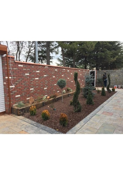 Kırmızı Pomza Taşı 15-25 mm 15 kg Volkanik Ponza Lav Taşı Ponza Kaktüs Sukulent Pomza Tarım Pomzası fiyatları