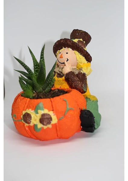 Kız Figürlü Saksı + Canlı Sukulent Bitkili