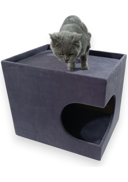 Miagatto Villa Kulübe