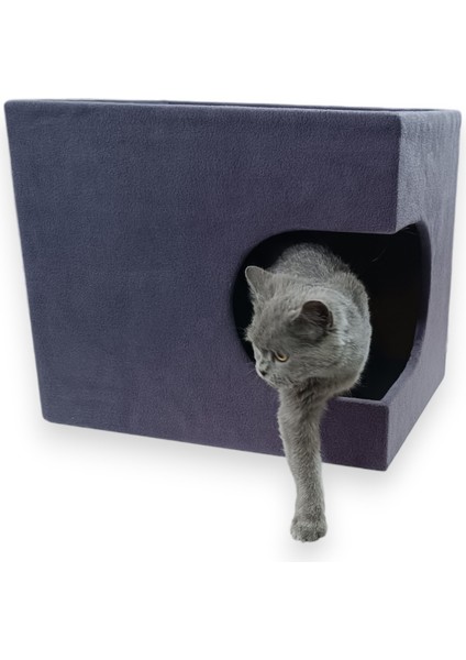 Miagatto Villa Kulübe fiyatları