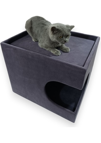 Miagatto Villa Kulübe