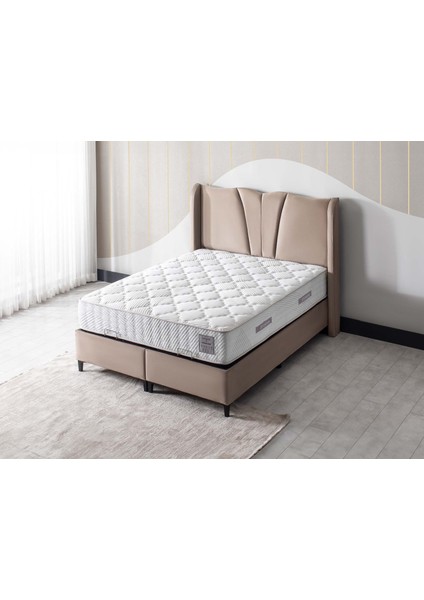 Festa Baza Vizon 150X200 fiyatları