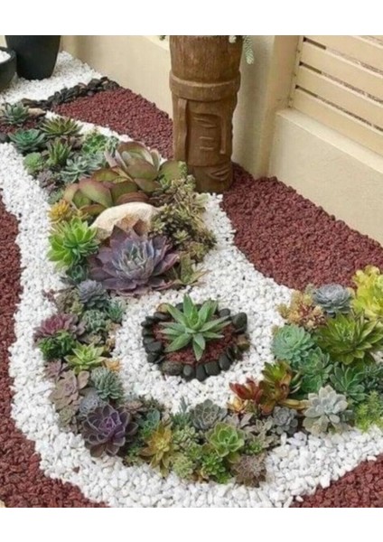 Beyaz Dolomit Taş 1-2 cm 5 kg Dere Taşı Çakıl Taşı Bahçe Süs Taşı Peyzaj Taşı Dekoratif Taş fırsatları