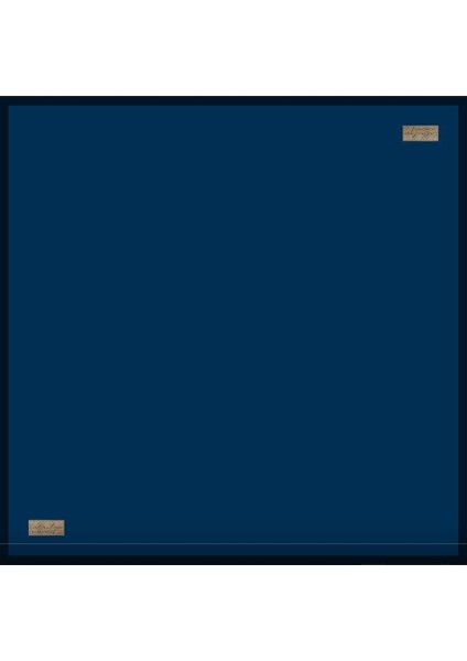 Güz Serinliği Düz Eşarp 10