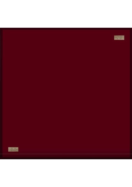 Güz Serinliği Düz Eşarp 36