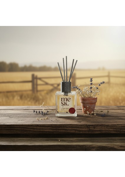 Güneşim Oda Kokusu modelleri