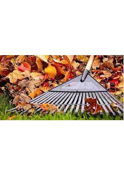 Profesyonel Plastik Tırmık fiyatları