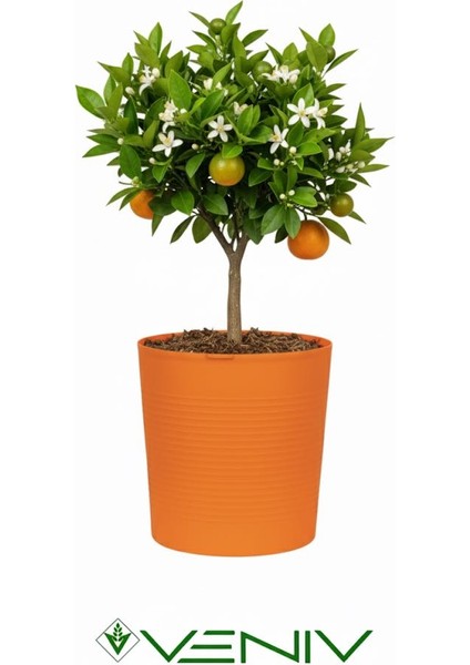 Dekoratif Kırılmaz 9.8 L Saksı