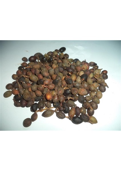 Defne Tohumu (Tenel Toh.) 500 gr