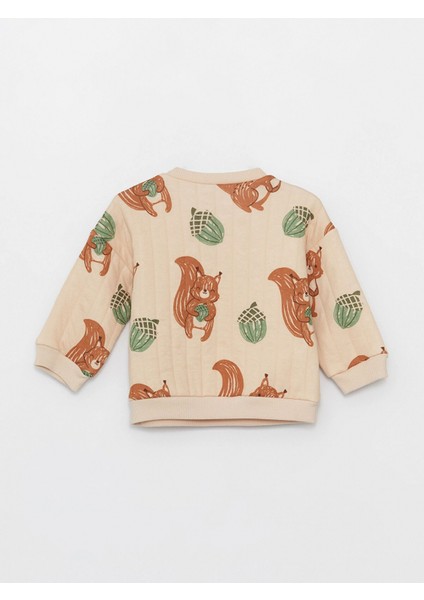 Lcw Baby Bej Bisiklet Yaka Erkek Bebek Sweatshirt ve Eşofman Alt 2'li indirimleri