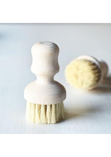 Bulaşık Fırçası