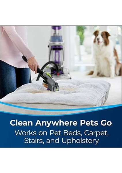 Halı ve Döşeme Temizleyicileri Için 2&apos;si 1 Arada Evcil Hayvan Aracı (3259), Gri/siyah fiyatları