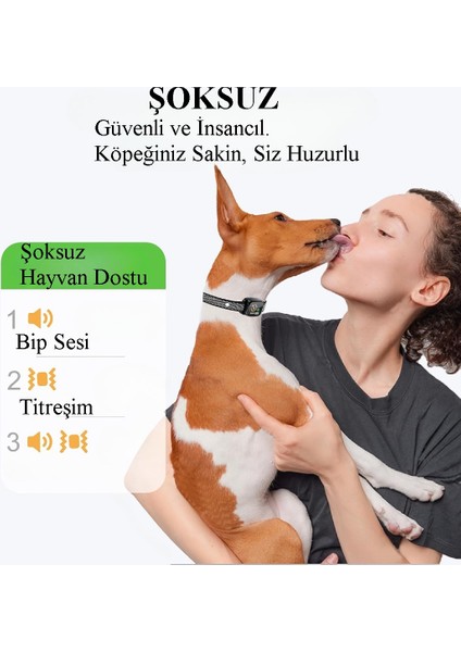 Akıllı Köpek Tasması – Akıllı, Şarjlı, Su Geçirmez, Sesli Eğitim Tasması modelleri