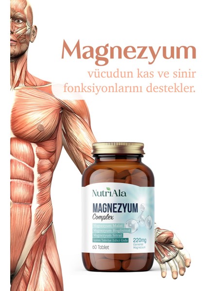 Magnezyum 3 Lü Form 60 Tablet (Bisgilisinat) modelleri