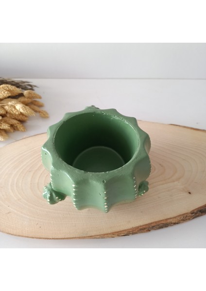 Kaktüs SAKSIRA050 fiyatları