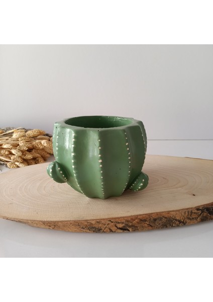 Kaktüs SAKSIRA050 modelleri