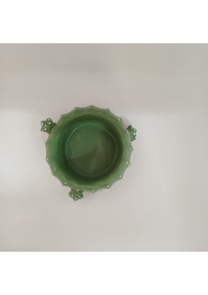 Kaktüs SAKSIRA050 fırsatları