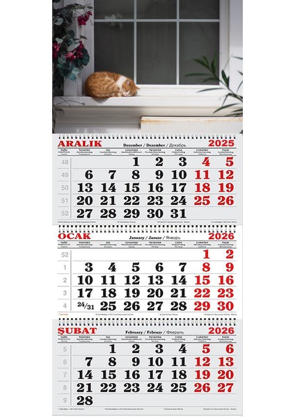 2026 Yılı Gemici Takvimi-Pencere Önünde Uyuyan Kedi