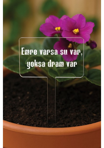 Kişiye Özel Isim Kelime Yazılı Uv Baskılı Şeffaf Dekoratif Pleksi Saksı Süsü - Dizayn 17