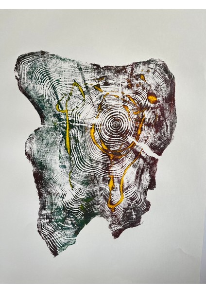 Ağaç Yaş Halkası Baskı Çalışması Poster Tablo Resim Sanat Wood Art indirimleri