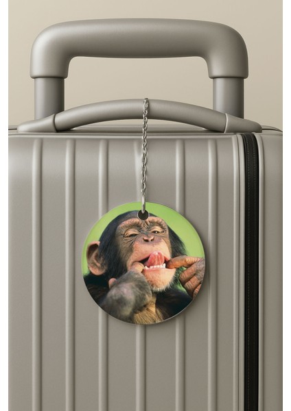 Pleksi Zincirli Bavul Etiketi Seyahat Tatil Için Tasarım Valiz Etiketi Şımarık Maymun