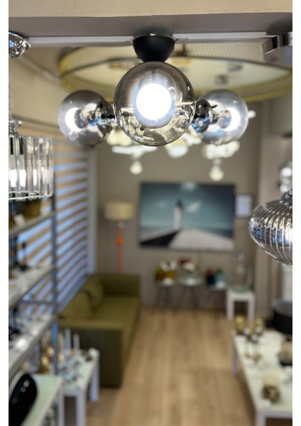 Globe Black & Silver TRİO Plafonyer Krom Cam Avize