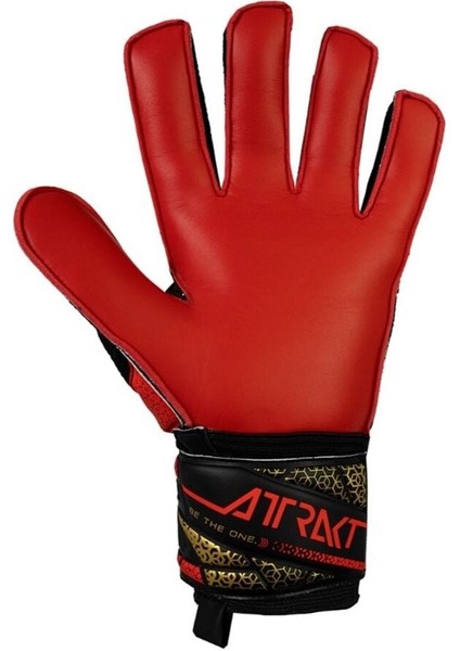 Reusch Attrakt Solid Kaleci Eldiveni (Kemiksiz) 5570515-7075 8 modelleri