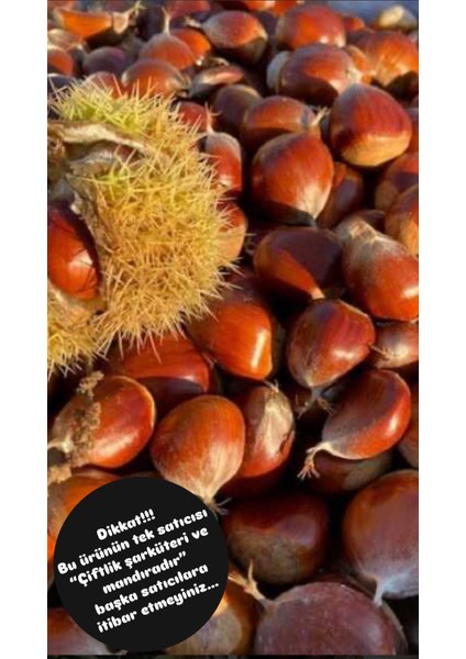 Ödemiş Kebap Kestane 1kg. (Iri Boy-Yeni Mahsül) fiyatları