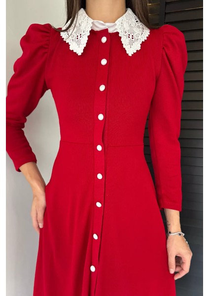 Kadın Dantel Yaka Boydan Düğmeli Triko Elbise P-00018927 fiyatları