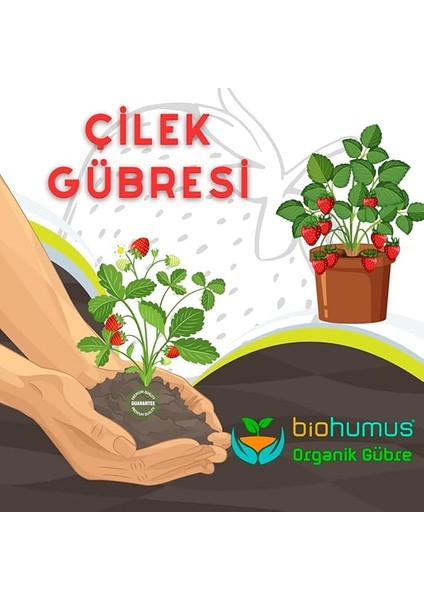Çilek Için, Organik Gübre, Organik Sertifikalı, Kök Geliştirici, Toprak Düzenleyici, Bitki Besleyici 25 kg (1) fırsatları