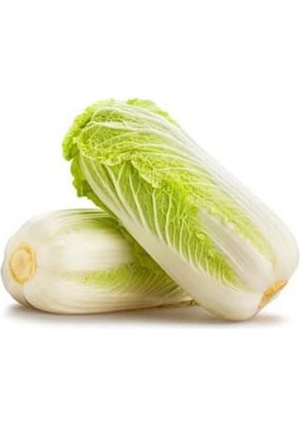 Adet Çin Lahanası Tohumu