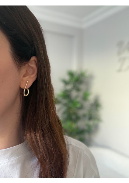 Çelik Riri Küpe fiyatları