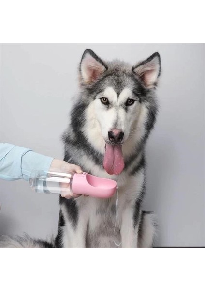 Taşınabilir Evcil Hayvan Suluğu Seyahat Kabı Kilitlenebilen Su Sızdırmaz Kap 350 ml